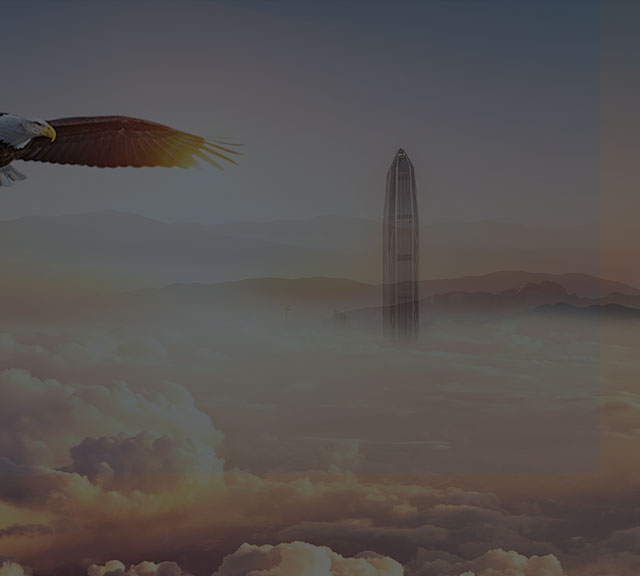 愿景